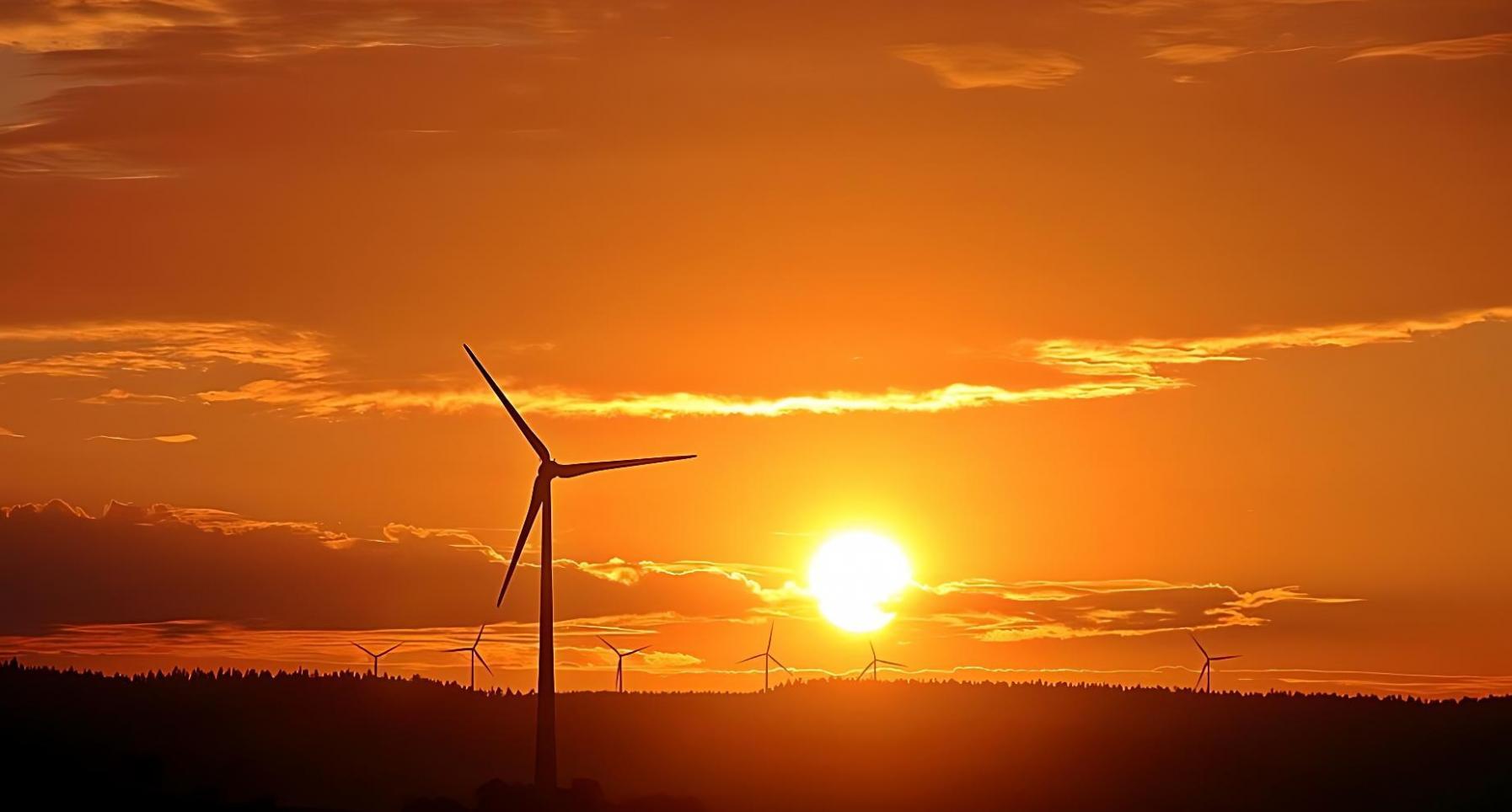 Umweltmonitoring und ökologische Bewertung