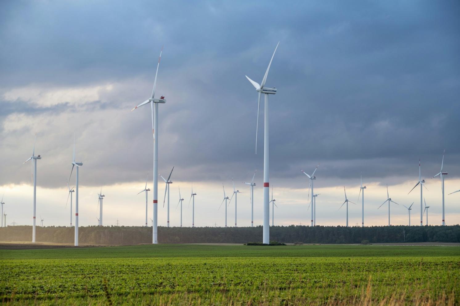 Praktische Anwendung